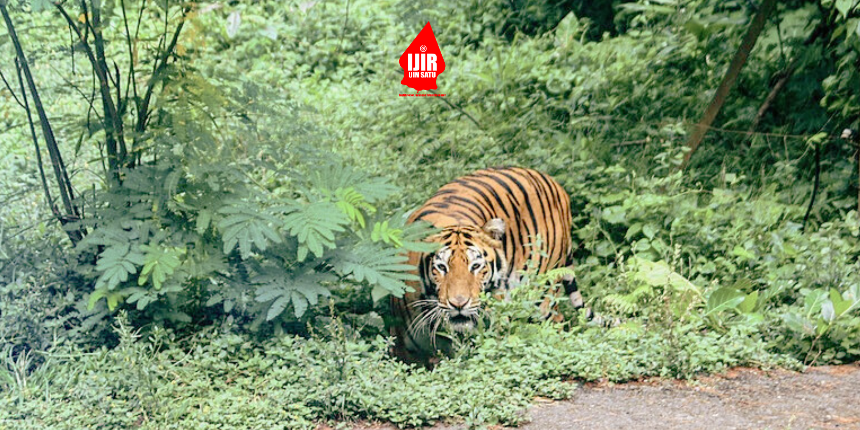 Akar Kepunahan Harimau di Jawa